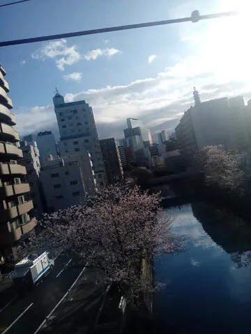 川面に煌めく桜の街
