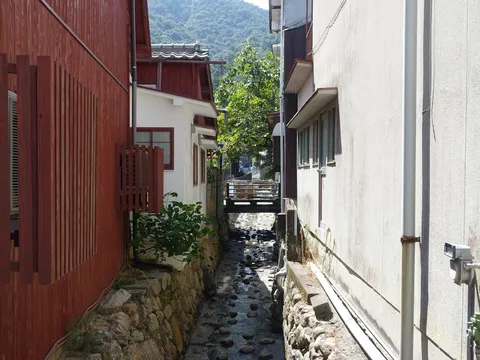 路地の小さな水路と木の家