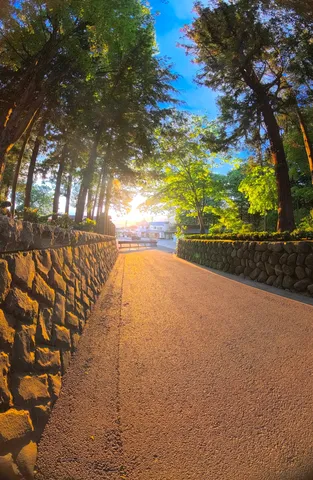 まぶしっ！ってなった先の景色