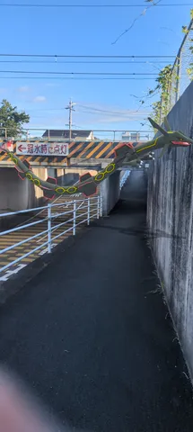 空を駆ける巨大な龍