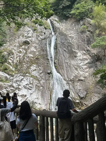 自然の芸術、迫力の滝