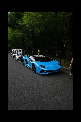 緑陰に並ぶ鮮烈なスーパーカー