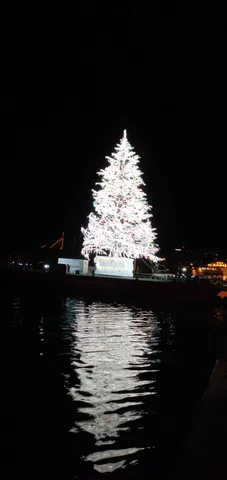 夜の水面に映る光のツリー