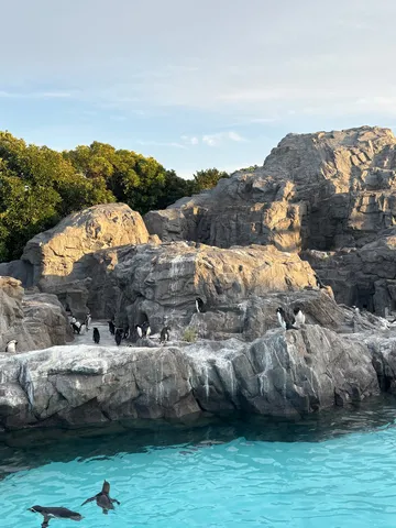青い水辺のペンギンワールド