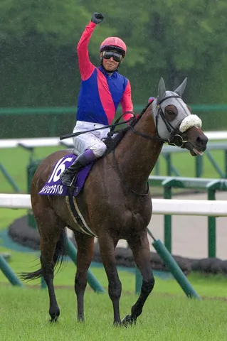 雨中の激走、勝利への咆哮