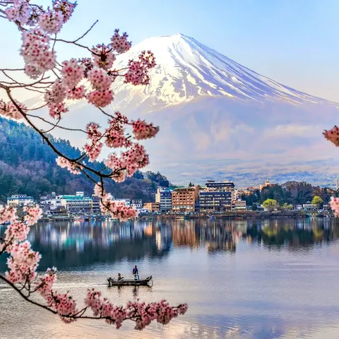 桜が主役を奪う富士景色