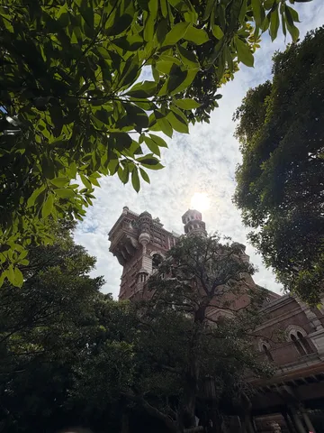 樹影と塔の午後光景