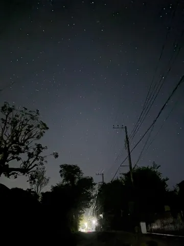 星降る夜の電線ロード