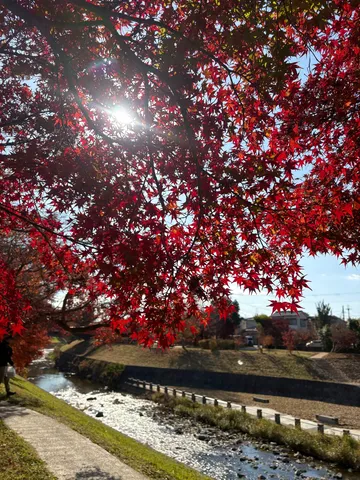 竜田の川の紅葉なりけり