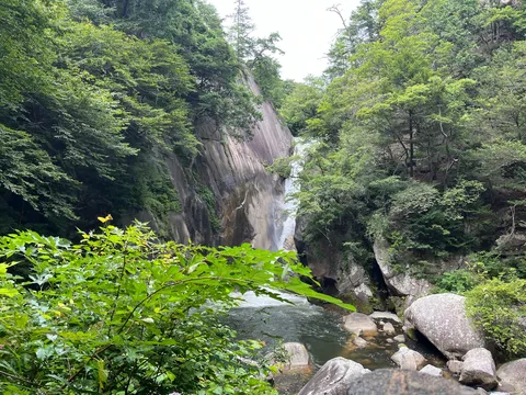 緑と水音の渓谷風景