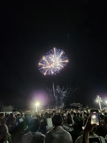 夜空に咲く大輪の花、観客もスマホでパシャリ
