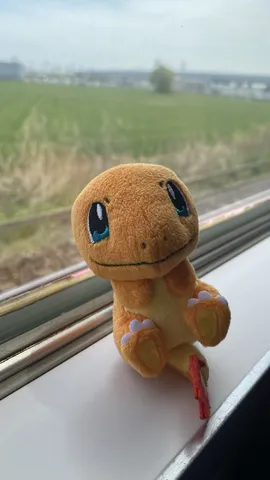 車窓を眺める小さなヒトカゲ