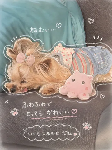 うとうと…、まるっと可愛い寝顔