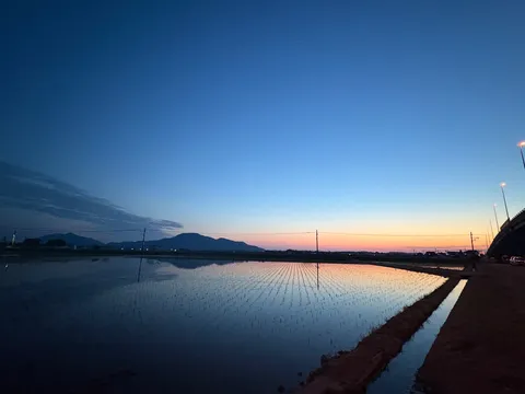 水田に映る夕焼け空のグラデーション