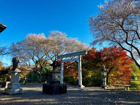 春と秋の狭間、神社の境内