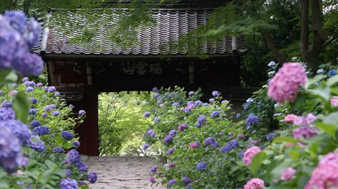紫の庭へ続く石畳