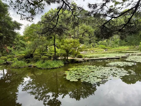 静寂を映す、水面に広がる緑の世界