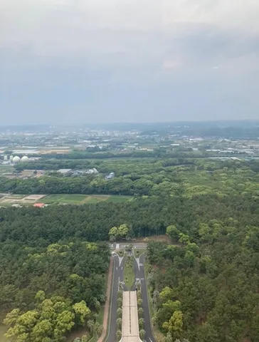 緑に吸い込まれる一本道