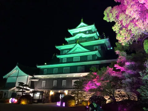 幻想的な光に包まれる古城の夜