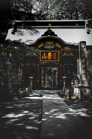 金色の門と木漏れ日の旅路