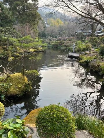水面に映る、静寂の庭園散歩