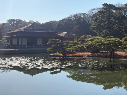 静寂の庭園、水面に映る風情