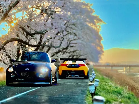 桜と車、光のコントラストが映える春道