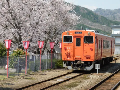 春を駆け抜ける、みかん色の電車