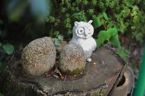 静寂の森のフクロウたち