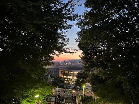 夕暮れに佇む、光と影のコントラスト