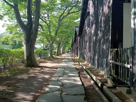 緑陰の石畳と木造壁