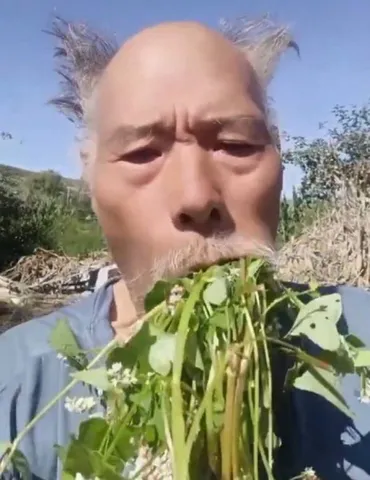 草をくわえた一瞬の表情