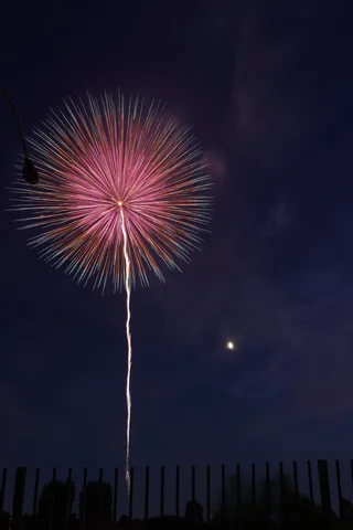 夜空に咲く一輪の花火