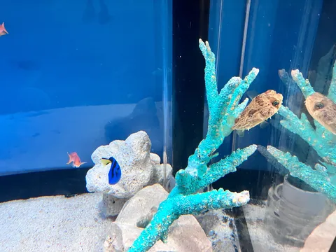 海の静かな彩りの瞬間