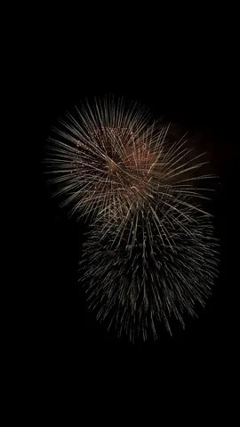 夜空に咲く、黄金の華