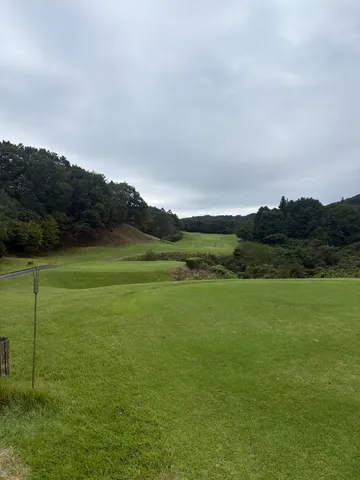広がる緑と静かな旅路