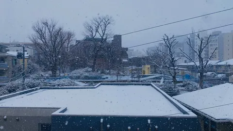 都会に舞う粉雪の静寂