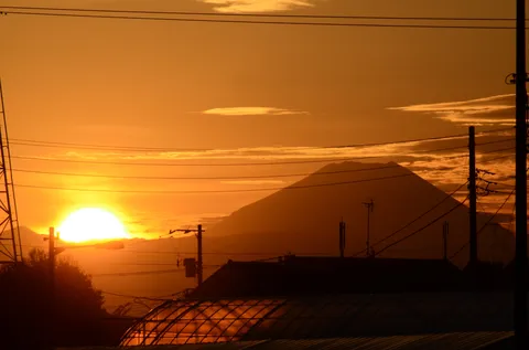 夕暮れに浮かぶシルエット