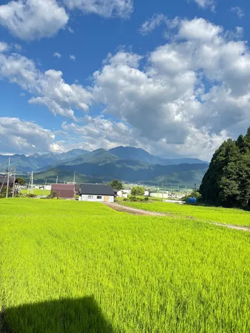 緑萌える田園と遠くの山並み