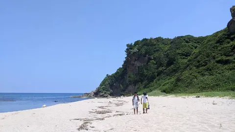 穏やかな夏の海岸散歩