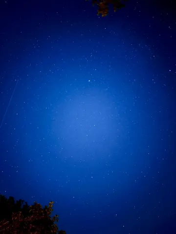 星空と木々のシルエット
