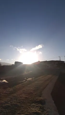 まばゆい光に包まれる景色