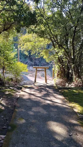 木漏れ日の石鳥居