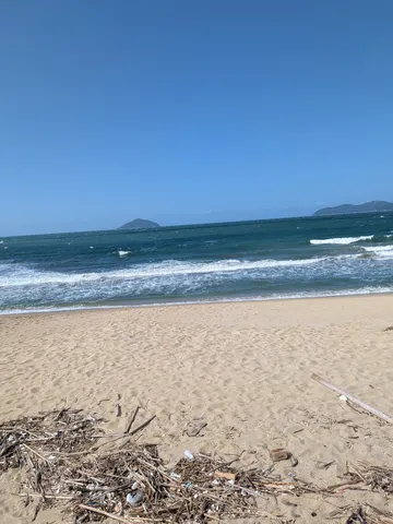 潮騒と流木の記憶