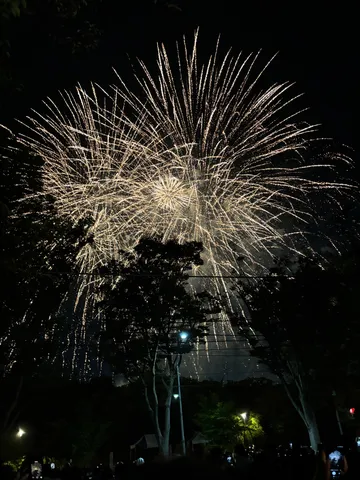 夜空を彩る光のカーテン