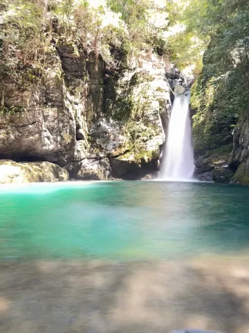 神秘的なエメラルドグリーンの水辺
