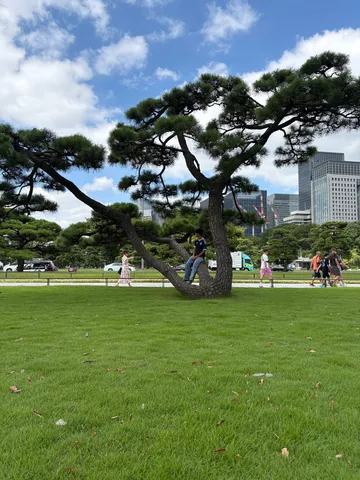 風景を曲げる木の影