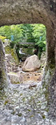 緑の縁が描く流れの世界