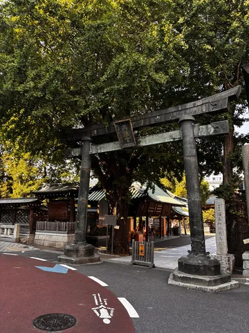 鳥居と緑、古都の風景