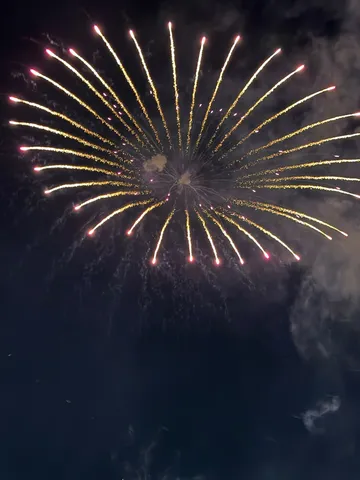 花火の放射線を夜空に描く